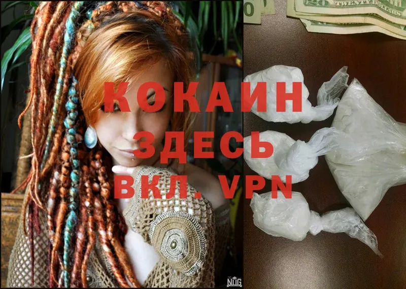 COCAIN Fish Scale Бологое