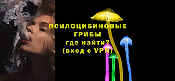первитин Лиски