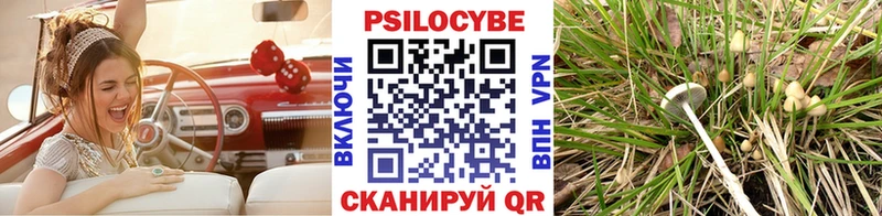 Псилоцибиновые грибы мицелий  Бологое 