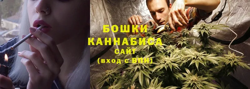 Канабис Ganja  Бологое 